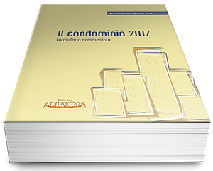 Il Condominio 2017