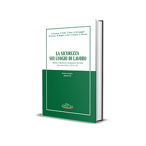 LA SICUREZZA SUI LUOGHI DI LAVORO 