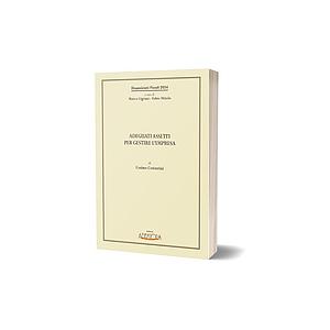 Adeguati assetti per gestire l'impresa