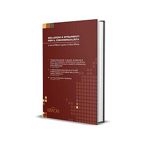 Soluzioni e strumenti per il commercialista 2024