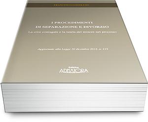 I Procedimenti di Separazione e Divorzio
