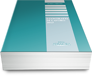 I Contratti di Lavoro 2013